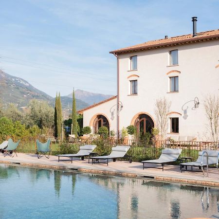 Paradis Agricole Pietrasanta Kültér fotó