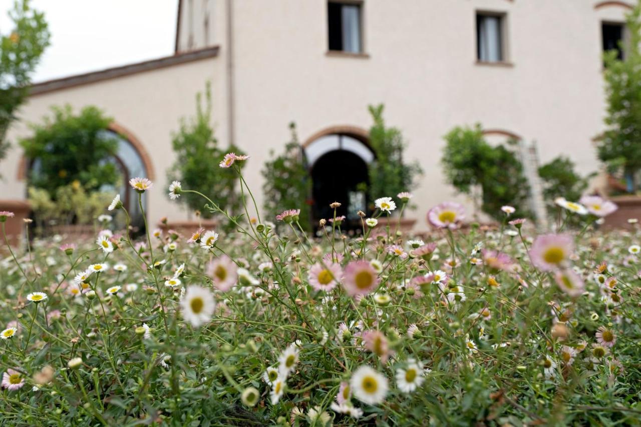Paradis Agricole Pietrasanta Kültér fotó