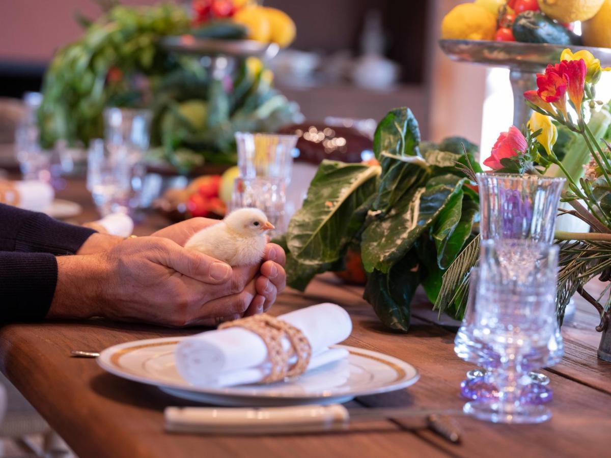 Paradis Agricole Pietrasanta Kültér fotó