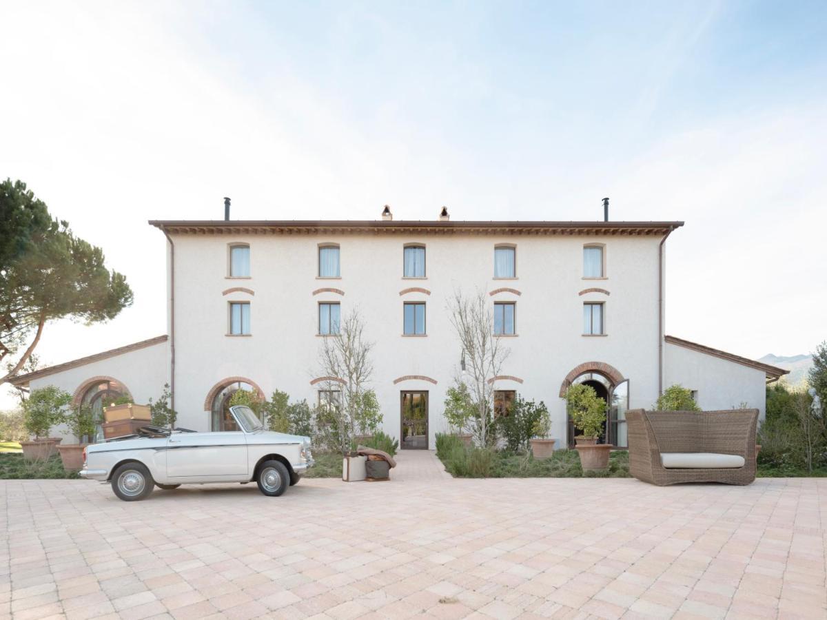 Paradis Agricole Pietrasanta Kültér fotó