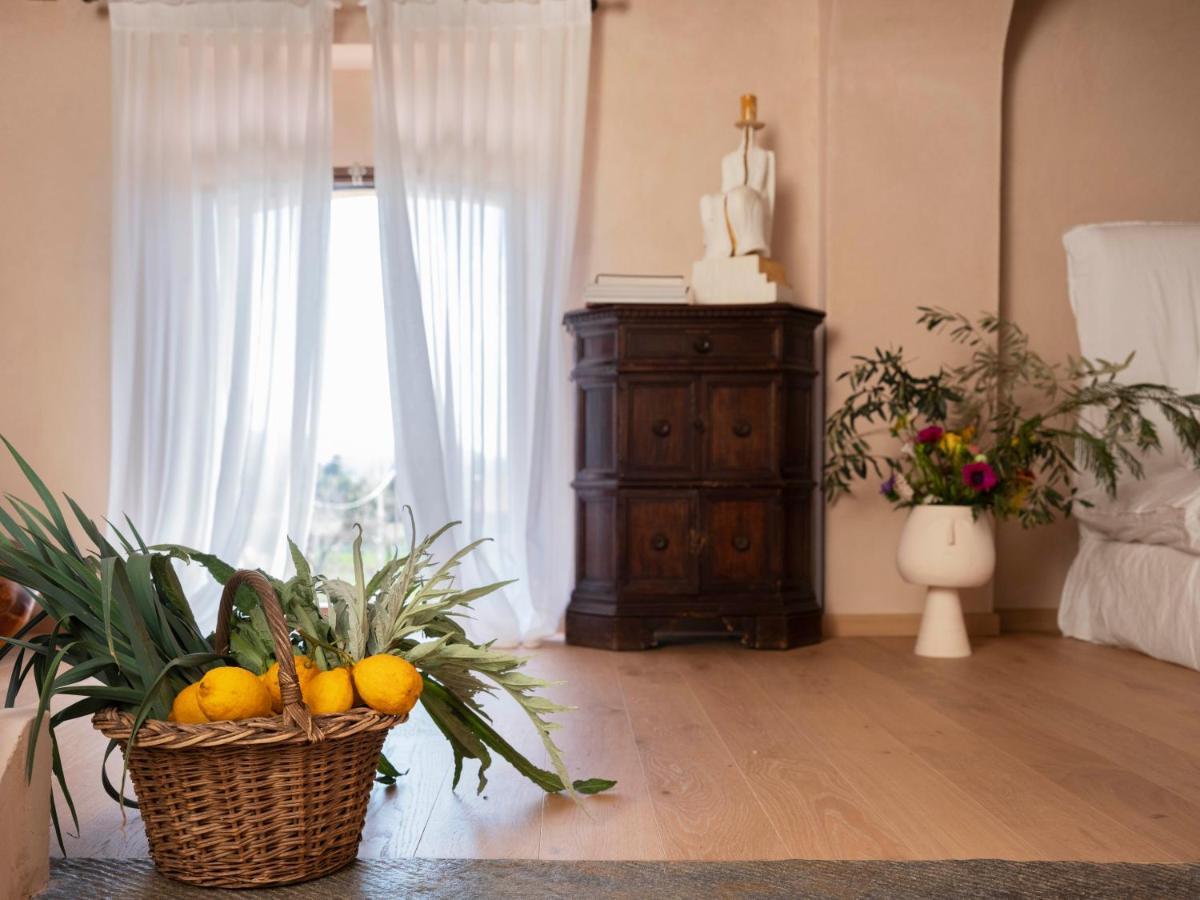 Paradis Agricole Pietrasanta Kültér fotó